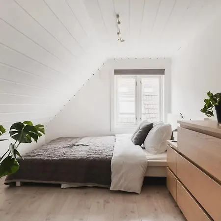 Cozy Loft With King Bed In The Middle Of Town Dom wakacyjny