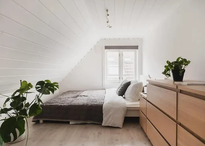 Cozy Loft With King Bed In The Middle Of Town Hébergement de vacances